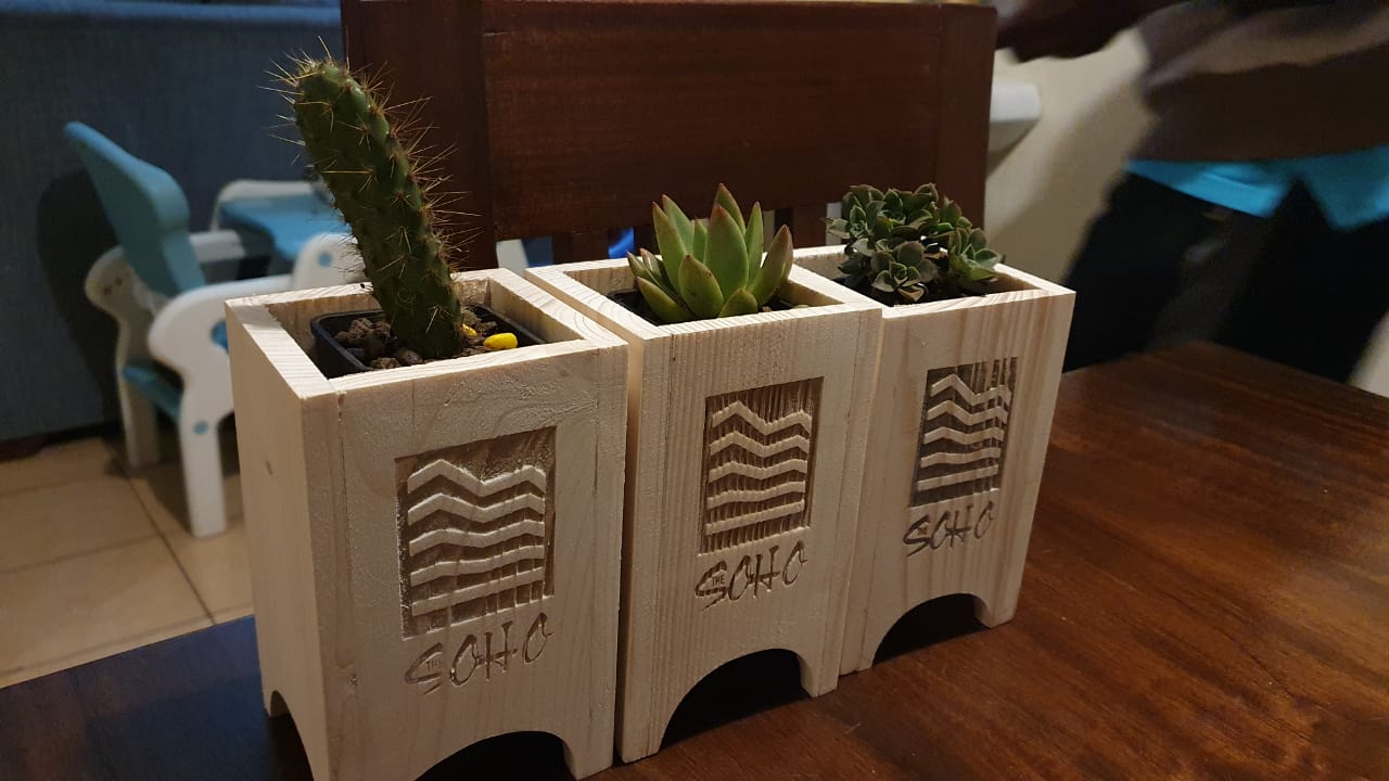 Branded Wooden Planter with Succulent
