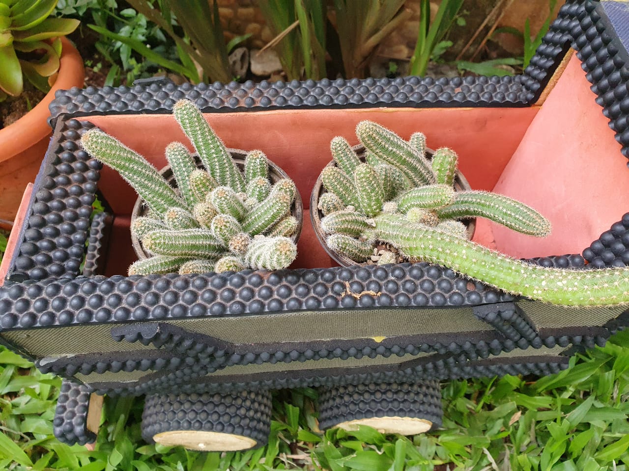 Giant Truck Garden Feature  with 2 Planters