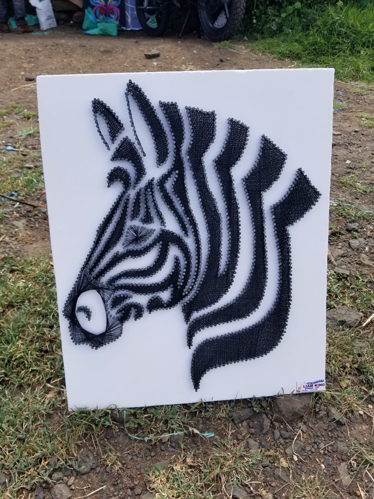 Zebra String art