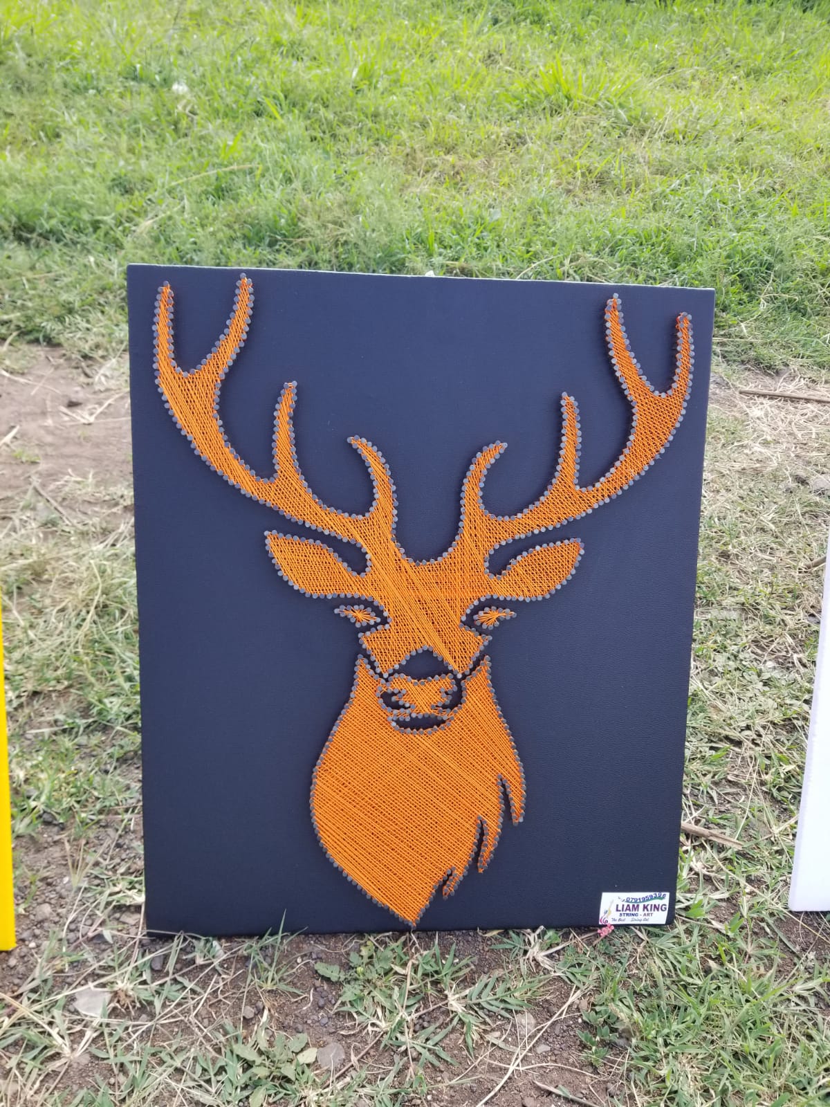 Deer String Art