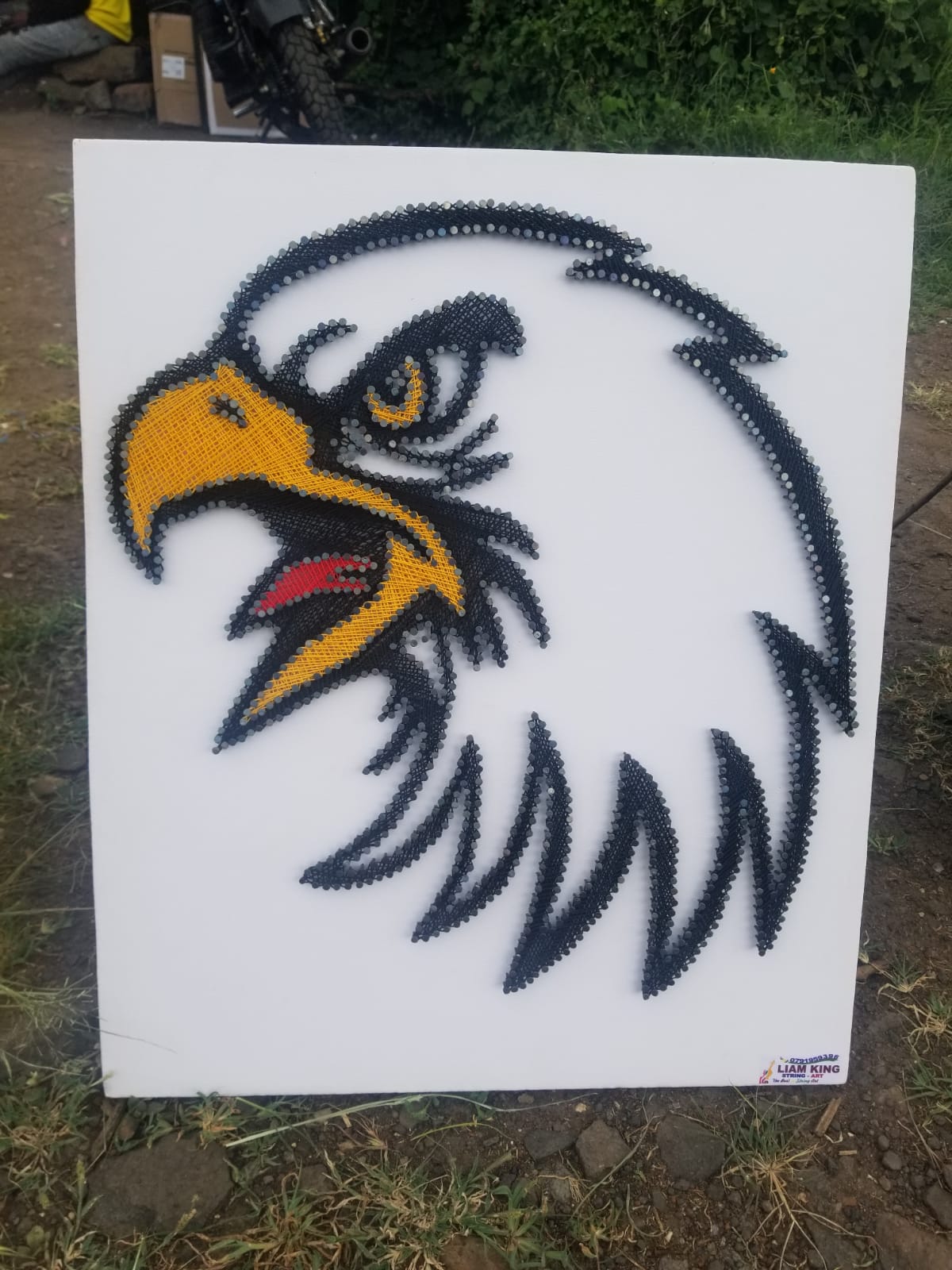 Hawk String Art