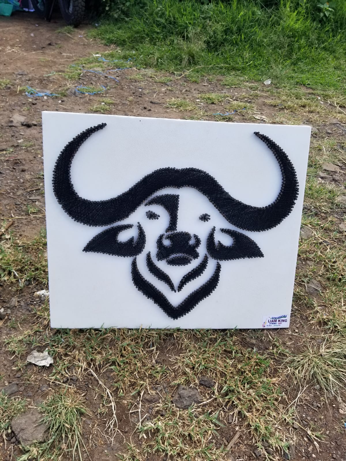 Buffalo String Art
